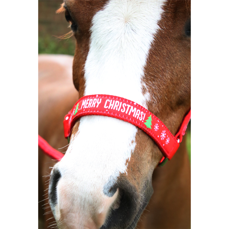 Hy Equestrian Merry Christmas Head Collar and Leadrope -2